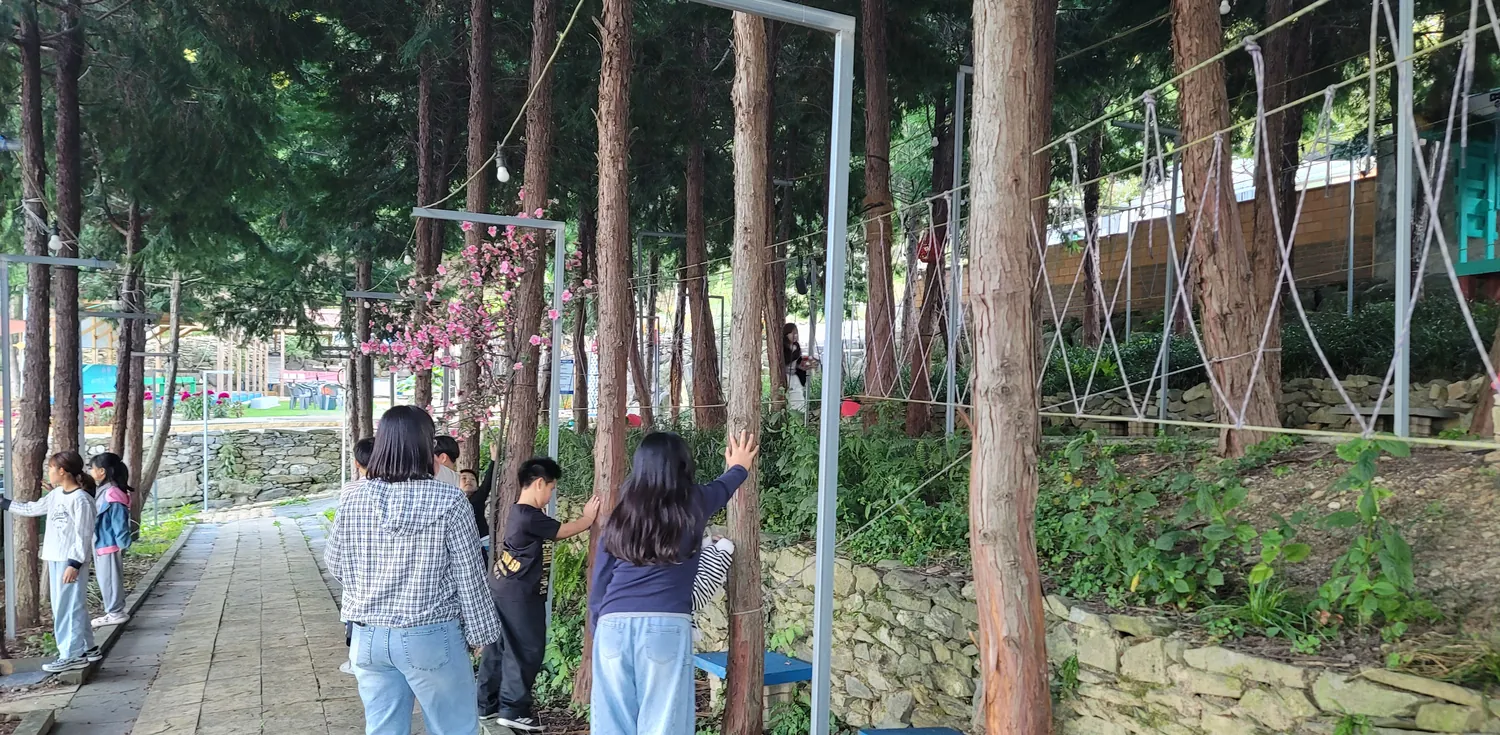나무가 늘어선 산책로