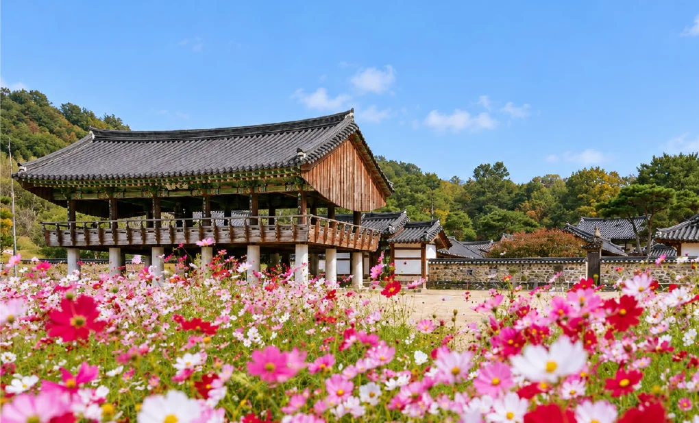꽃이 핀 돈암서원을 함께 걷는 길